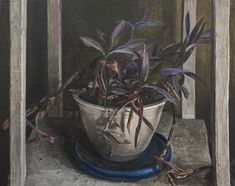 purple plant in pot