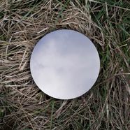 white disk laying in grass