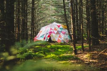 Quilted blanket fort in forest