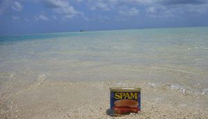 Can of Spam resting in the sand among the ocean.